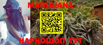 гашик Новозыбков