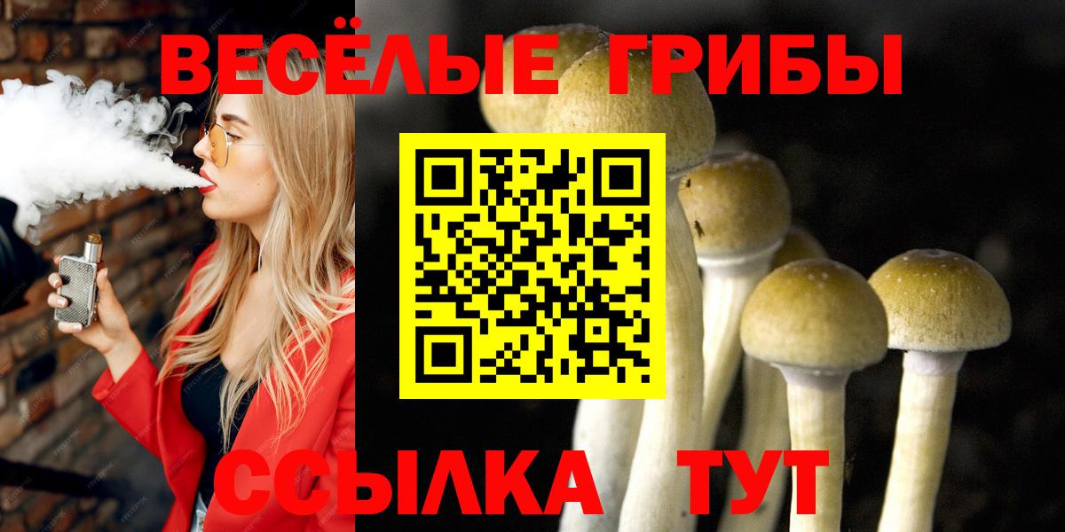 Галлюциногенные грибы Magic Shrooms  Псилоцибиновые грибы ЛСД  Вход с VPN  Уварово 